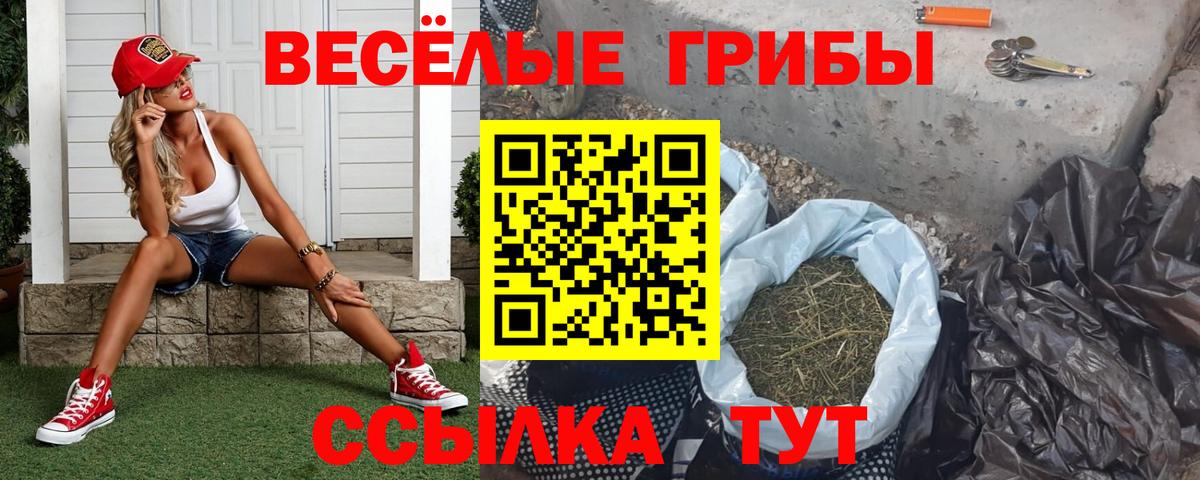 Братск  Псилоцибиновые грибы MAGIC MUSHROOMS  Вход с VPN 